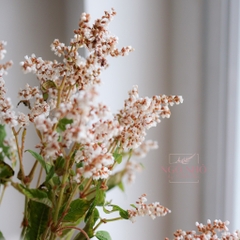 (Hoa Lẻ) Hoa Erica/ Poly Nhập Khẩu