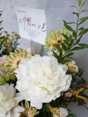 (Hoa Lẻ) Hoa Mẫu Đơn Trắng Taki No Yosooi Nhập Khẩu | Peony Nhật Bản