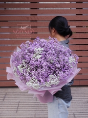 Bó Hoa Babi Tím Nhập Khẩu 3712