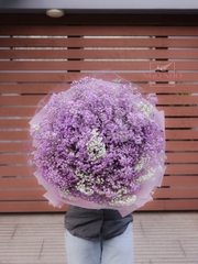 Bó Hoa Babi Tím Nhập Khẩu 3712