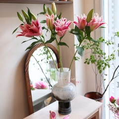 (Hoa lẻ) Hoa Ly Kép Hồng & Trắng