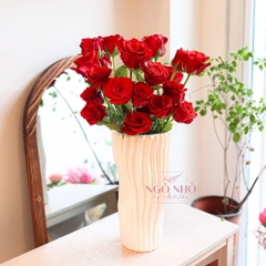 (Hoa Lẻ) Hoa Hồng Ecuador Giống Ngoại Trồng Đà Lạt