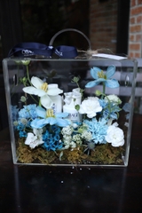 Hộp mica 24×27 tulip xanh mix trắng