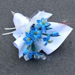 Bó tulip xanh avatar