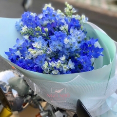 Bó tiểu delphinium xanh