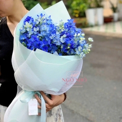 Bó tiểu delphinium xanh