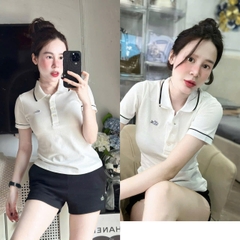 A304- Áo polo cổ trắng viền nhỏ thêu polo nổi tem nhà máy