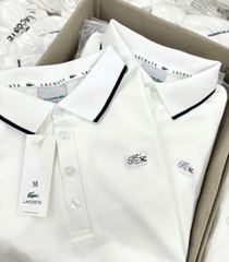 A304- Áo polo cổ trắng viền nhỏ thêu polo nổi tem nhà máy