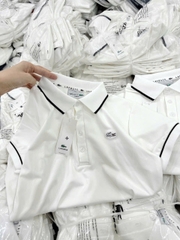 A304- Áo polo cổ trắng viền nhỏ thêu polo nổi tem nhà máy