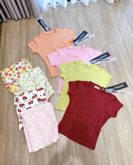 SET450-Áo áo cộc cotton xược trơn mix quần chân ren