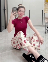 SET450-Áo áo cộc cotton xược trơn mix quần chân ren