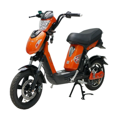 Xe đạp điện DK Samurai S