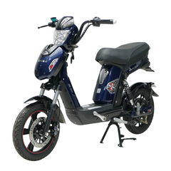 Xe đạp điện DK Samurai S