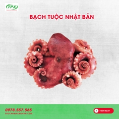 BẠCH TUỘC NHẬT BẢN