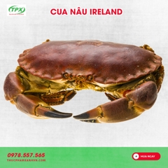 CUA NÂU IRELAND SIZE 500GR