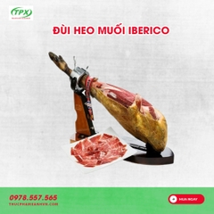 ĐÙI HEO MUỐI IBERICO TÂY BAN NHA MUỐI 36 THÁNG