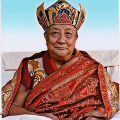 LINH PHÙ SANGGE QIJI