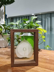 Tranh chú Lăng Nghiêm trên Lá Bồ Đề