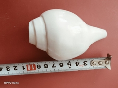 Ốc pháp loa (quay trái)