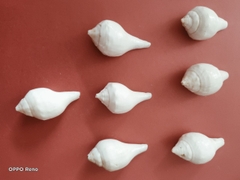 Ốc pháp loa (quay trái)