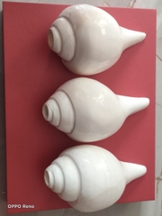 Ốc pháp loa (quay trái)