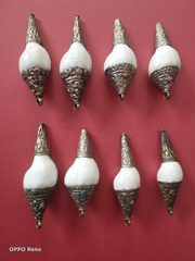 Ốc Pháp Loa Bọc Đồng