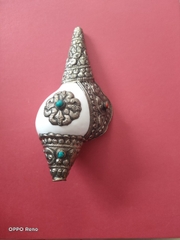 Ốc Pháp Loa Bọc Đồng