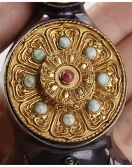 Toma và Hoa vương (cỡ lớn)