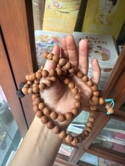 Chuỗi hạt bồ đề Phật nhãn
