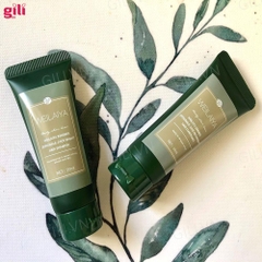 Bộ gội xả Hà Thủ Ô Weilaiya Zingiber 20ml + 20ml chính hãng