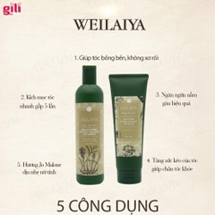 Bộ gội xả Hà Thủ Ô Weilaiya Zingiber 20ml + 20ml chính hãng