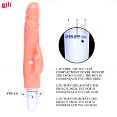 Dương vật giả rung Vibrator Baile 1 Pin chính hãng