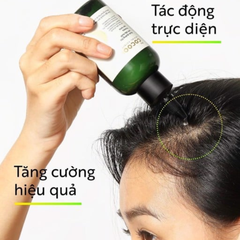 Nước Dưỡng Tóc Cocoon Tinh Dầu Bưởi 310ml