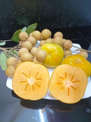 Hồng giòn Mộc Châu