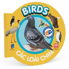 Từ Điển Bằng Hình - Các Loài Chim