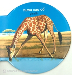 Từ Điển Anh - Việt Bằng Hình - Wild Animals - Động Vật Hoang Dã