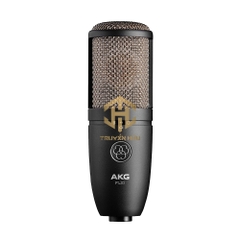 MICRO AKG P420