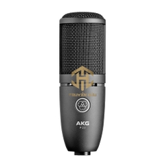 MICRO AKG P120