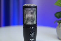 MICRO AKG P420