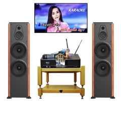 DÀN HÁT KARAOKE TH17 PARAMAX FX2500 + ĐẨY LIỀN VANG AK3500