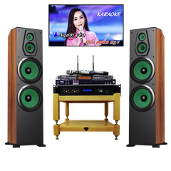 Bộ Dàn Karaoke TH07 Loa PARAMAX F2500 + Đẩy KA 5000 +Vang Số DK1000 +Micro Db450ii