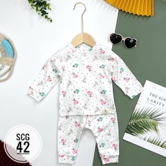 Bộ sơ sinh cotton PC 6/36m x22