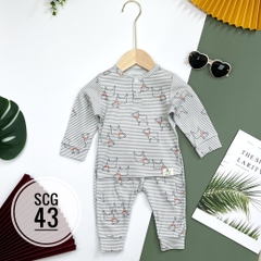 Bộ sơ sinh cotton PC 6/36m x22