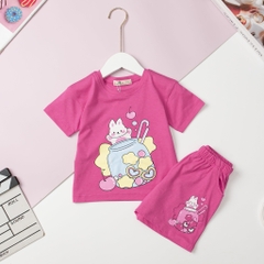 H436 Bộ Bé gái cotton 2 chiều size 2/7T x24