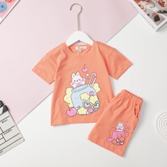 H436 Bộ Bé gái cotton 2 chiều size 2/7T x24