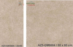 Gạch ốp 30x60 Eurotile Viglacera: Arizona AZ5-GM3604
