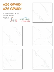 Gạch lát nền granite 60x60-Bóng Arizona AZ6-GP6601