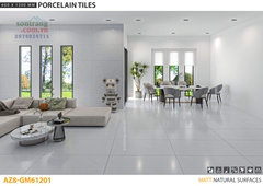 Gạch ốp lát 60x120 Arizona VGC-AZ8-GM61201 Men Malt