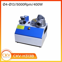 Máy mài dao phay ngón CNC D4-D13 CKV-H313B