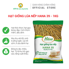 Hạt giống lúa nếp HANA 39